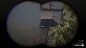 Red Dead Redemption 2 - RDR2 - BROWN PELICAN - AMERICAN WHITE PELICAN - LOCATION - EXOTIC BIRD MEAT