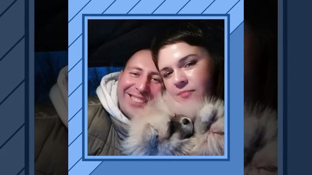 Самый лучший шпиц смотреть онлайн