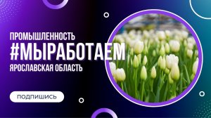 Флешмоб #МыРаботаем ЯРОСЛАВСКАЯ ОБЛАСТЬ