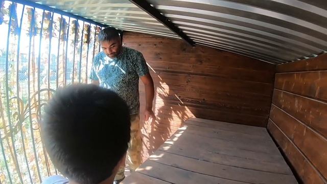 Пёс Граф и остальные собачки собираются уезжать. Малыш Марк ухаживает за питомцами смотреть онлайн