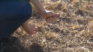 Обзор и сборка шатра GREEN WAY (модель 120109)