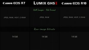 Canon R7 and Canon R10 and lumix gh5 ii specifications comparison || Lumix GH5 ii vs Canon R7 ||