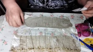 Московский способ посева семян астры