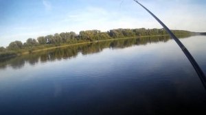 Рыбалка на Оке на БОКОВОЙ КИВОК. ПОРОЛОН или ОПАРЫШ на ЛЕТНЕЙ МОРМЫШКЕ.