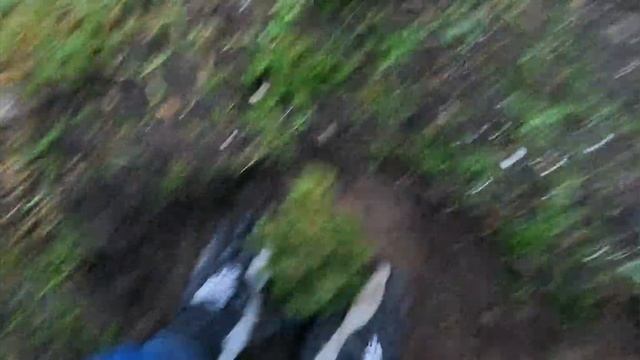 #влог #дача #огород #эстония  Купили дачу в эстонии серия 26