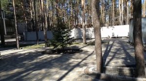 ЖК Лесная сказка . Обзор двора