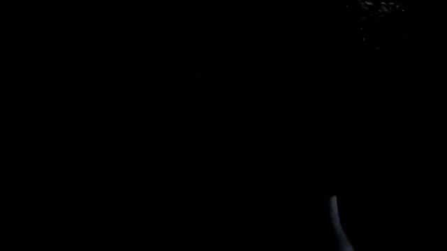 Спец Выпуск: Заживо Погребенный. Не Повторять/Ставрополь. смотреть онлайн