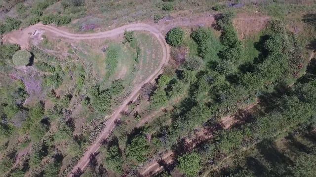 La Palma Protea Flowers in El Castillo Mountains from Above смотреть онлайн
