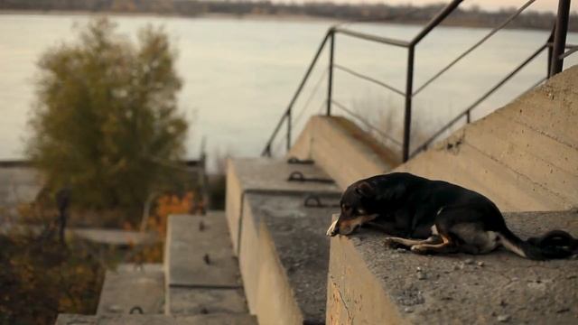 Красноармейский район города Волгоград смотреть онлайн