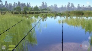 Русская рыбалка 4 - озеро Медвежье - Линь золотистый на медовое тесто