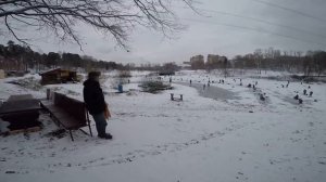 Обзор и цены на тёплые беседки