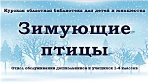 Зимующие птицы. Видеоэкскурс