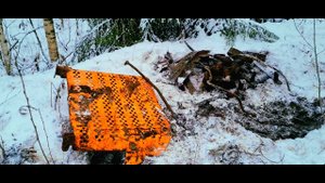 Коп на полях, дорога усыпанная сбросами тракториста!!