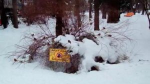 Слайдшоу "Январь в Киеве--снег и политика"