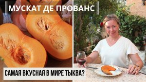 Франция vs Латвия / Дегустация  тыквы Мускат де Прованс в Провансе