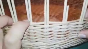 Котодом овальный. Экспресс МК.