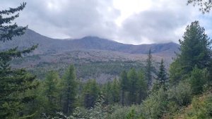 Siberian: поход одним днем на вершину горы Борус, Республика Хакасия