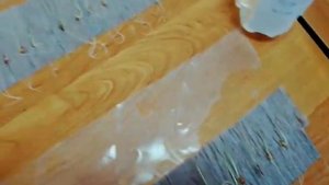 Влияние Азотовита и Фосфатовита на всхожесть семян пшеницы