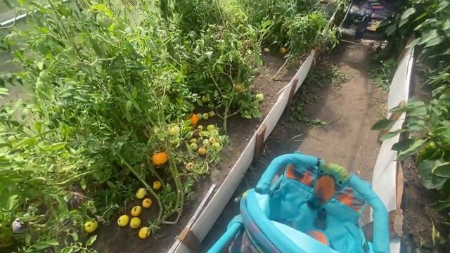 ПЕРЕЕЗЖАЕМ НА ДАЧУ/ДАЧНЫЕ БУДНИ/КАРКАС ПОД НИШИ/ОТДЫХАЕМ И БЕЗДЕЛЬНИЧАЕМ
