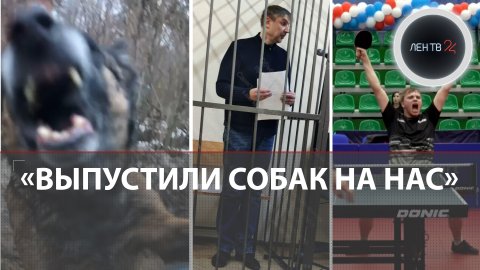 Гений парковки из Кудрово | Задержали адвоката по делу 2000 | Собачьи войны | Насекомое с антифризом