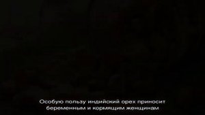 Орехи кешью — польза и вред для женщин