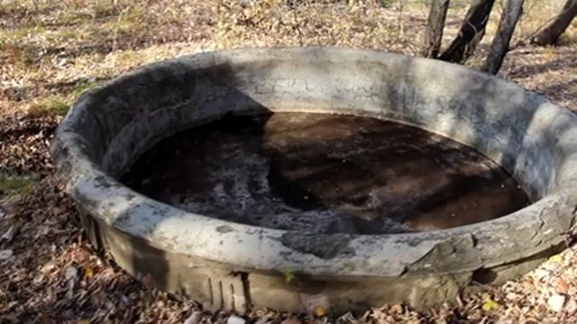 Второй фонтан в Зауральной роще или как мы работали волонтёрами | Оренбург смотреть онлайн