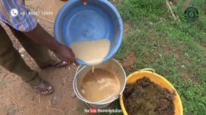 Azolla Farming / Azolla Cultivation | How to grow Azolla in HDPE Pond