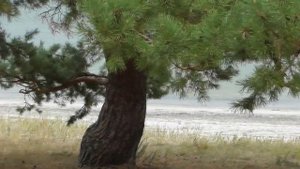 Озеро Долгое сентябрь 2021