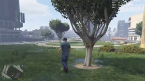 intel i3 4130 + GTX 1060 3gb (inno3d) + 8gb RAM. Grand Theft Auto 5. Test Травка, Лужи, Солнышко.