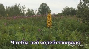 свет - благо 2
