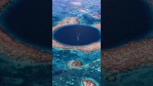 Great Blue Hole Of Belize, The Largest Sea Hole In The World #shorts