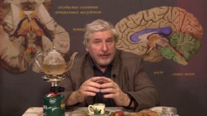 С. Савельев. Что такое стресс и как с ним бороться