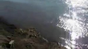 ЖКХ пос. Самусь, Томской области.