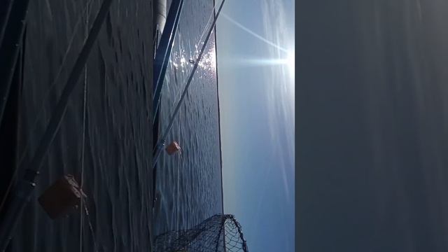 закрываем летнюю рыбалку,но это не точно. смотреть онлайн