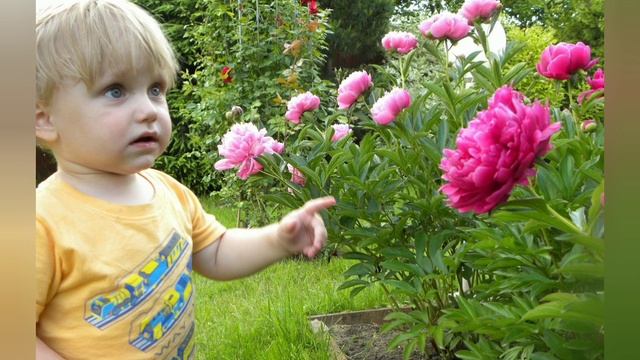 Добрая история для детей, которые дерутся с другими  #добраяистория #воспитаниедетей