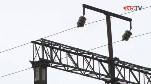 Отдельный вагон для перевозки животных появится в поездах