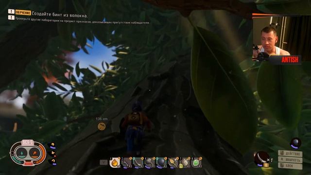 где найти мать пауков в grounded от antish смотреть онлайн