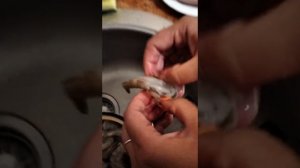 Сырые тигровые креветки как приготовить в луково-сливосчном-чесночном соусе за 3 Вкусно минуты