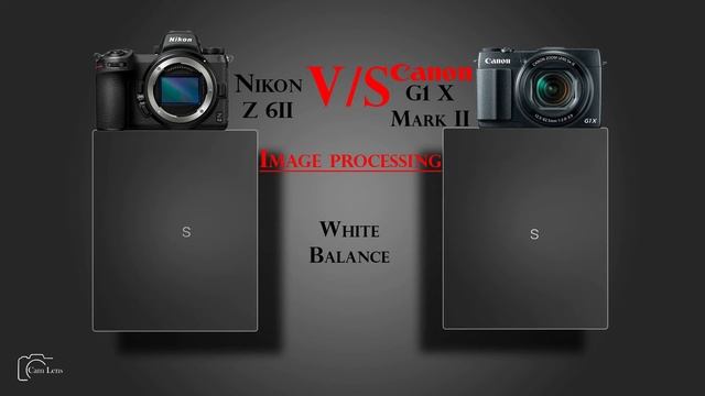 Nikon Z 6II vs Canon PowerShot G1 X Mark II смотреть онлайн