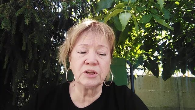 к чему снится сосна смотреть онлайн