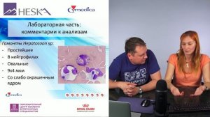 Глебова О. А., Солдатов А. А. - Лейкоцитарная формула с точки зрения лаборанта и терапевта.mp4