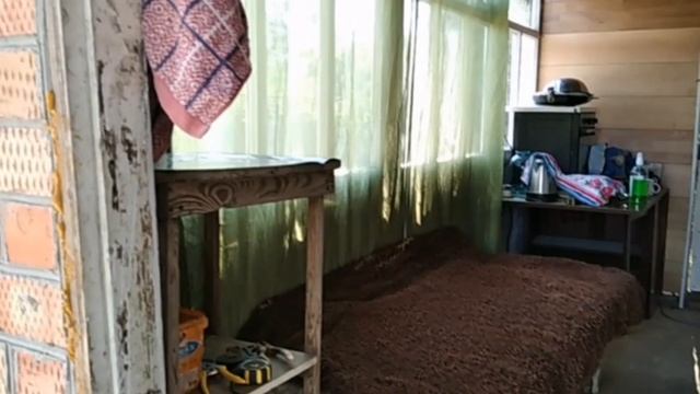 Такого я ещё не видела. Крыса размером с кошку.