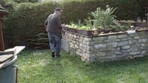 CHICOREE-SALAT - ВИТЛУФ-САЛАТ opus 1