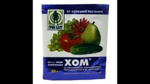 Лечение монилиоза вишни