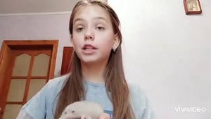 Плюсы и минусы декоративных крыс/ Стоил ли заводить декоративную крысу?/2020/