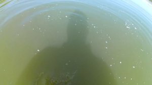 Еду за золотом/Пляжный коп с металлоискателем Minelab Excalibur ll/Поиск золота под водой скупом/