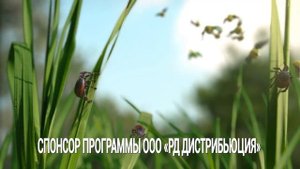 GARDEX от всех знакомых насекомых