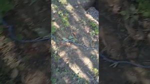 ФУНДАМЕНТ ИЗ БЛОКОВ под баню