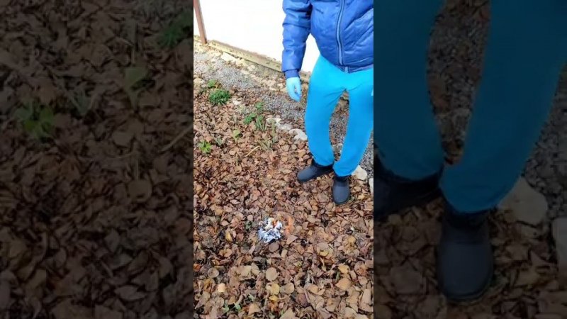 Документы уничтожил.