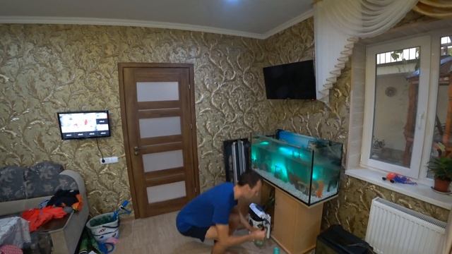 Оформление аквариума на 200 литров для начинающих от А до Я